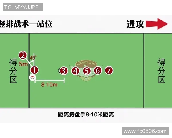 南京飞盘队灵活性分析与战术创新的深度探讨